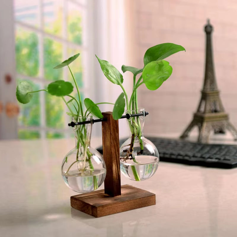 Terrarium Creative Hydroponic Plant Transparent Vase Wooden Frame Vase Decorations Glass Tabletop Plant Bonsai Decor Flower Vase