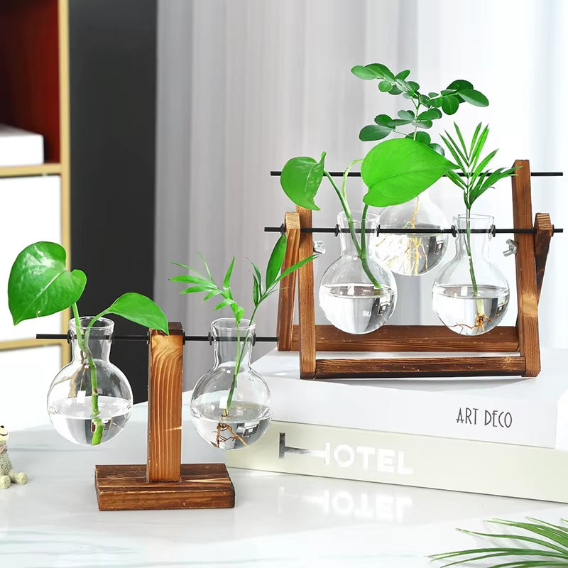 Terrarium Creative Hydroponic Plant Transparent Vase Wooden Frame Vase Decorations Glass Tabletop Plant Bonsai Decor Flower Vase