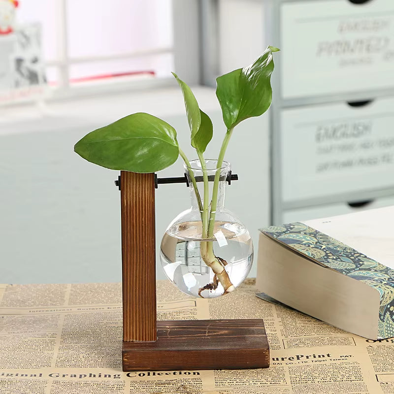 Terrarium Creative Hydroponic Plant Transparent Vase Wooden Frame Vase Decorations Glass Tabletop Plant Bonsai Decor Flower Vase