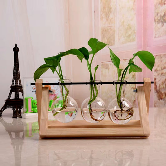 Terrarium Creative Hydroponic Plant Transparent Vase Wooden Frame Vase Decorations Glass Tabletop Plant Bonsai Decor Flower Vase